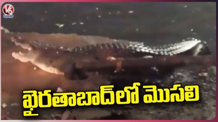 Crocodile Caught At Chinthal Basthi _ Khairatabad _ Hyderabad _ V6 News