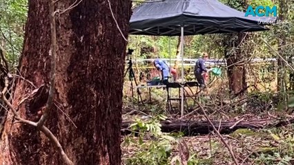 Mt Kembla bush search | September 28, 2023 | Illawarra Mercury
