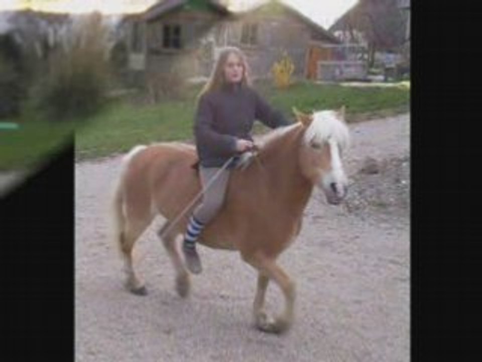 montage sauts en cordelette + pix