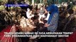 Tengok Wisata Unik Terapi di Telaga Udang Merah Buton, Sulawesi Tenggara