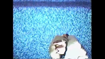 Yellow Door '90s Lo-fi Film Club Trailer 🎬