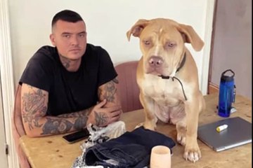 Sheffield Headlines 28 September: 'My XL bullies are loving but they should bring back dog licences to stop bad owners'