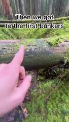 Adventurer explores German WW1 positions through metal detection