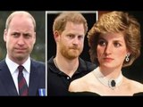 Diana serait «incroyablement attristée» par la qu;erelle du prince Harry et du prince William