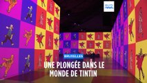 Plongée dans l'univers de Tintin, à 360°, à Bruxelles