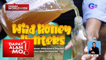 Wild honey, paano pinagkakakitaan sa Surigao Del Sur? | Dapat Alam Mo!