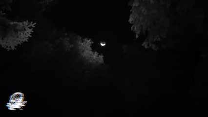 LA CASA DE DON LEONEL (Relatos De Terror)