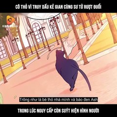 Chapter 6_ Mối Liên Kết Giữa Báo Đen Và Bé Thỏ