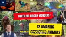 Unveiling Hidden Wonders - 12 Amazing Coexisting Animals