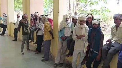 डूंगरपुर: जहरीले जानवर के काटने से महिला की मौत, तीन बच्चों के सिर से मां का उठा साया