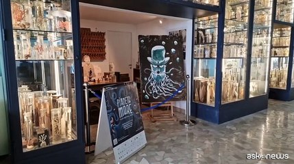 Da Napoli all'Europa: Pianeta Mare triplica i film in concorso