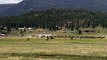 Massive Elk Herd Gathers During Rut