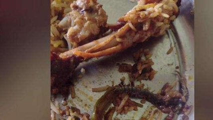 ప్రకాశం: బెస్తవారిపేటలో ఓ రెస్టారెంట్ లో దారుణం... బిర్యానీలో జెర్రీ