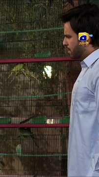 Zuban Ko Lagam Do Warna !!! #kalank #shortsvideo