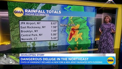New York declared state of emergency from flooding - GMA