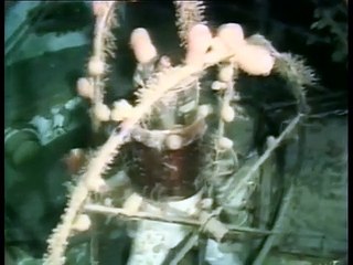 Le triangle des Bermudes - Documentaire paranormal