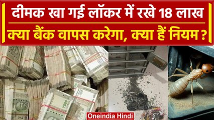 UP: Morodabad के BOB के लॉकर में 18 लाख खा गई दीमक, क्या बैंक ग्राहक को देगा वापस | वनइंडिया हिंदी