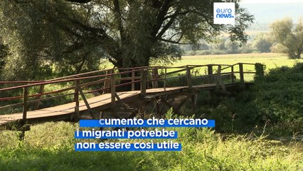 Download Video: Migranti, speranze e illusioni al confine tra Ungheria e Slovacchia