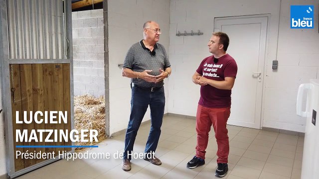 Hippodrome Hoerdt 2/6 : Contrôle vétérinaire