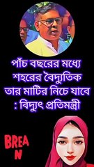 পাঁচ বছরের মধ্যে শহরের বৈদ্যুতিক তার মাটির নিচে যাবে : বিদ্যুৎ প্রতিমন্ত্রী