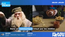 Tragédie : Michael Gambon, l'acteur de Dumbledore dans 