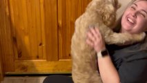 Adorable doggo overflows with excitement while reuniting with owner after 7 long months!