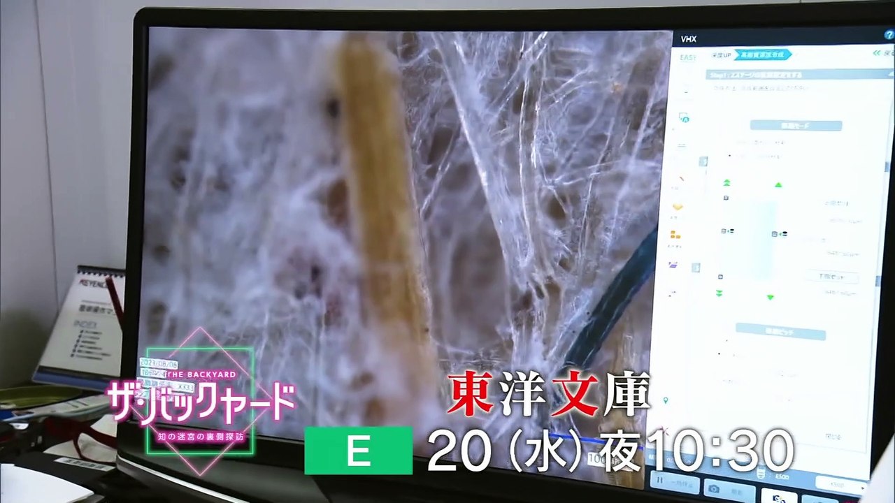 能町みね子と小町：ネコメンタリー猫も、杓子（しゃくし）も。