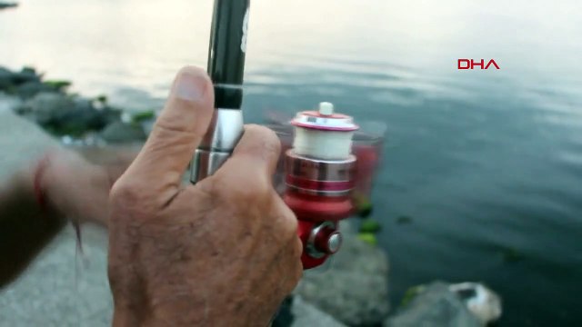 Les pêcheurs sont heureux à Samsun : les orphies, les poissons bleus et les chinchards sont en abondance