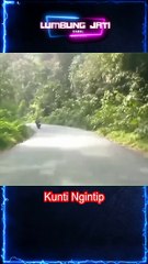 creepy mistery videos #6