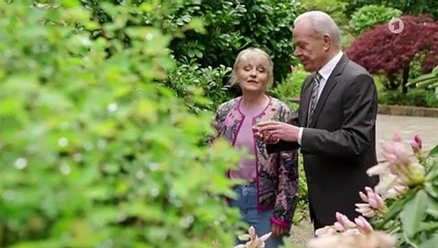 Sturm der Liebe 4114 folge