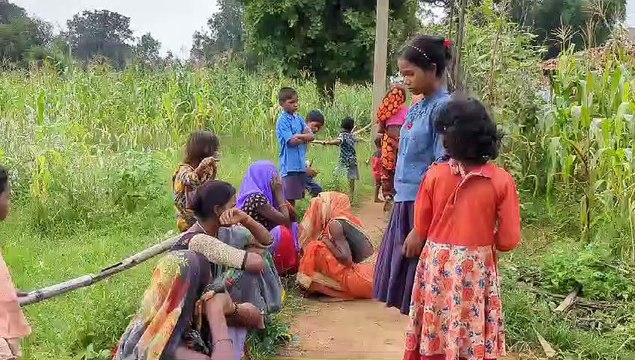 हाथियों ने युवक को कुचलकर मार डाला, गया था खदेडऩे