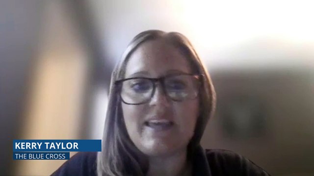 Why there should be a ban on greyhound racing in the UK