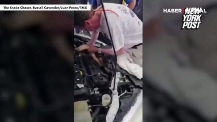 Tamircideki otomobilin kaputunun altından 2,5 metrelik yılan çıktı!