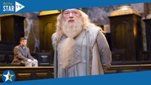 Michael Gambon est mort  l’acteur qui jouait Dumbledore dans Harry Potter avait 82 ans, la cause du