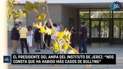 El presidente del AMPA del instituto de Jerez Nos consta que ha habido más casos de bullyng