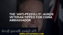 The ‘anti-Pezzullo’: AUKUS veteran tipped for China ambassador