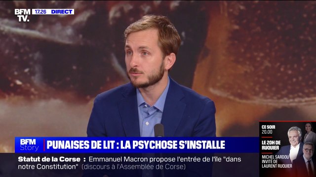 Punaises de lit: La puissance publique doit s'emparer du problème , pour François Piquemal (LFI)
