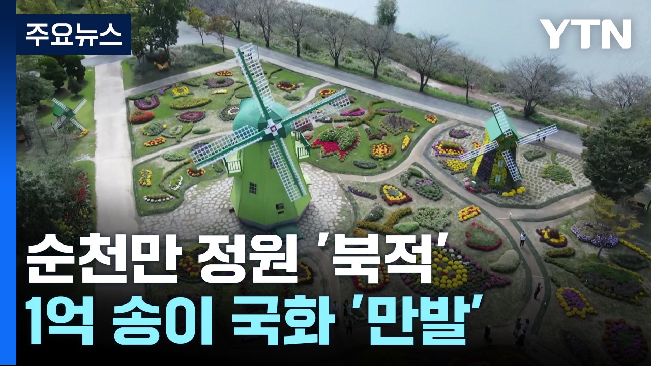 1억 송이 국화 '만발'...추석 맞은 순천만 정원 '북적' / YTN