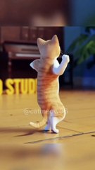 cat dance _ #shorts #cat #viral #trending