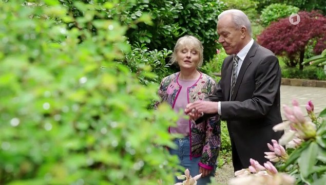 Sturm der Liebe 4114 folge