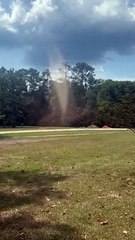 Long-Lived Tall Dust Devil In The Yard
