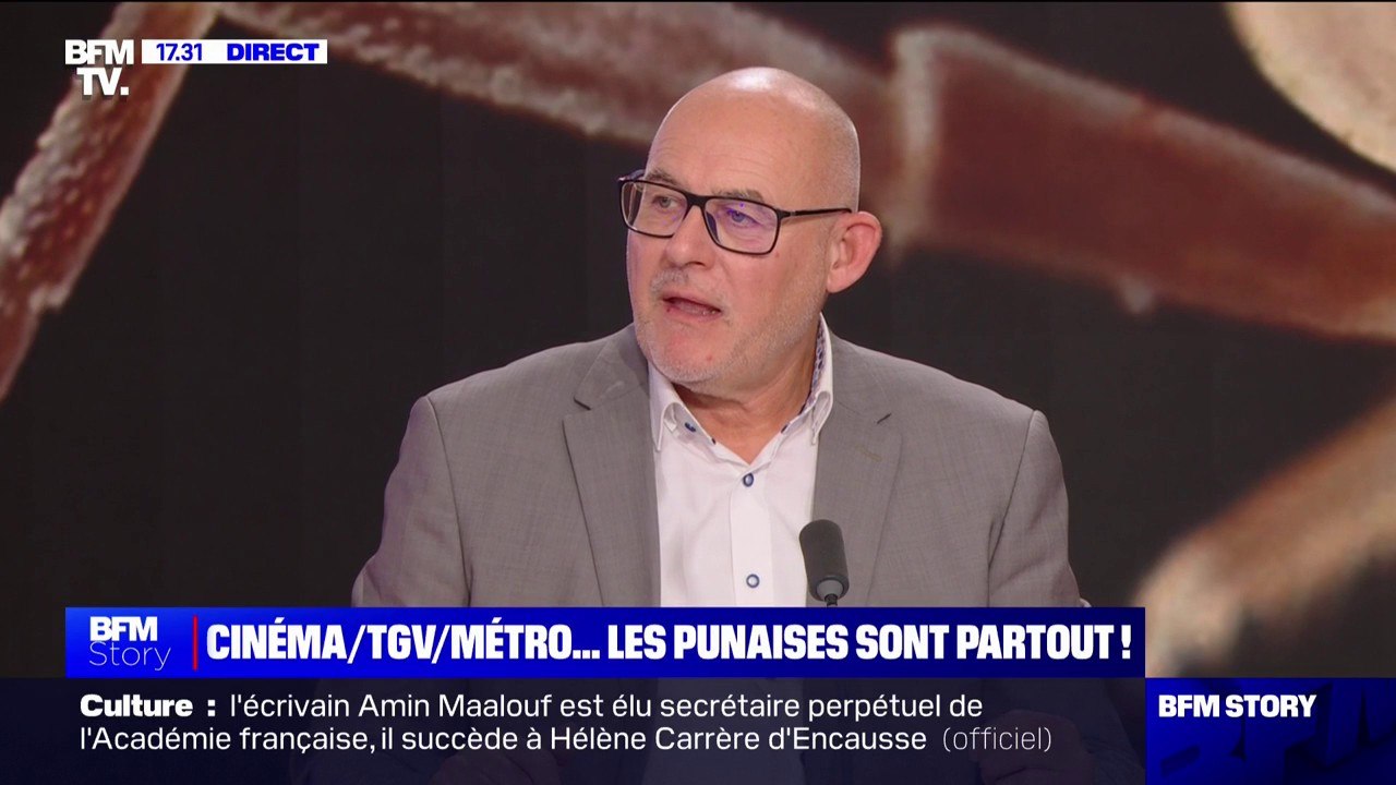 Punaises de lit: "Dans les hôtels, il y a aujourd'hui des formations pour les personnels de chambre", affirme Franck Delvau (président de l’UMIH Île-de-France)