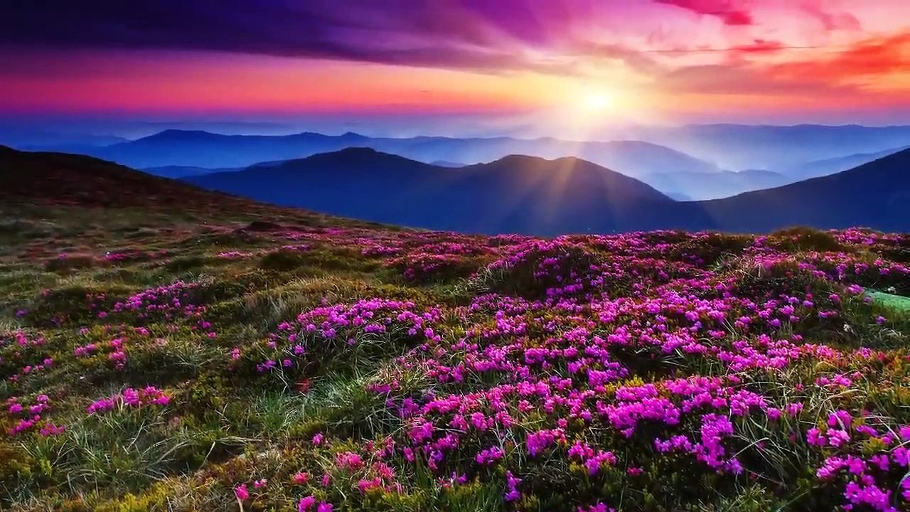 30 Minute Deep Sleep Music_ Calming Music, Relaxing Music, Soothing Music, Calming Music