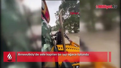 Ağaca sarılarak hayata tutundu