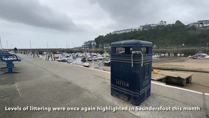 Volunteers tackl levels of littering in Saundersfoot