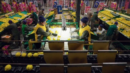 Entrevista Walter Ojeda - ICBC x El Cronista