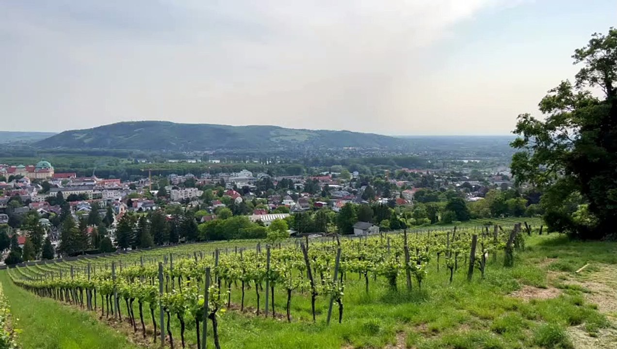 Blick auf Klosterneuburg von zwei Seiten!