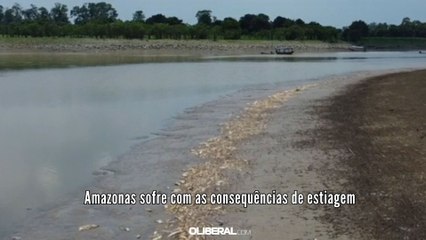 Amazonas sofre com as consequências de estiagem