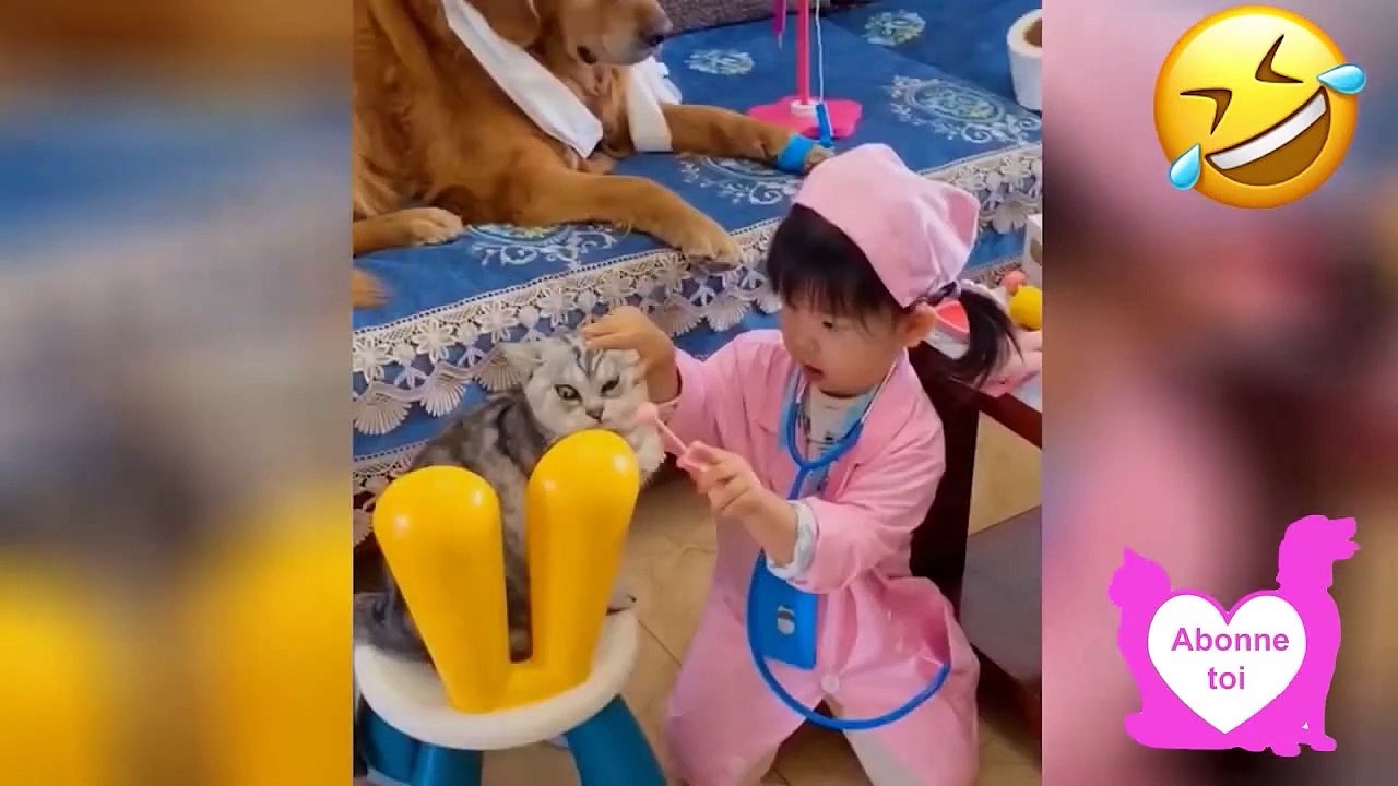 Dose d'humour  Vidéo Betisier Drole Chien et Chat #23