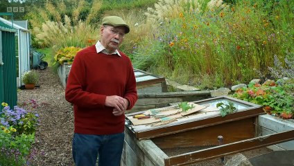 The Beechgrove Garden 2023 episode 26